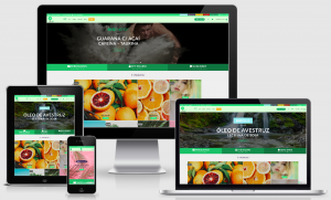 Desenvolvi Desenvolvimento Web BioSupri Produtos Naturais